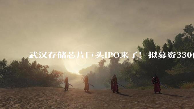 武汉存储芯片巨头IPO来了！拟募资330亿_控股_Flash_企业