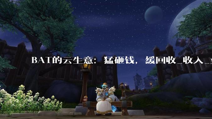 BAT的云生意：猛砸钱，缓回收_收入_业务_模型