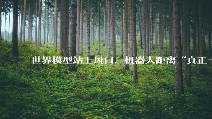 世界模型站上风口，机器人距离“真正干活”还有多远？_数据_黄源浩_能力