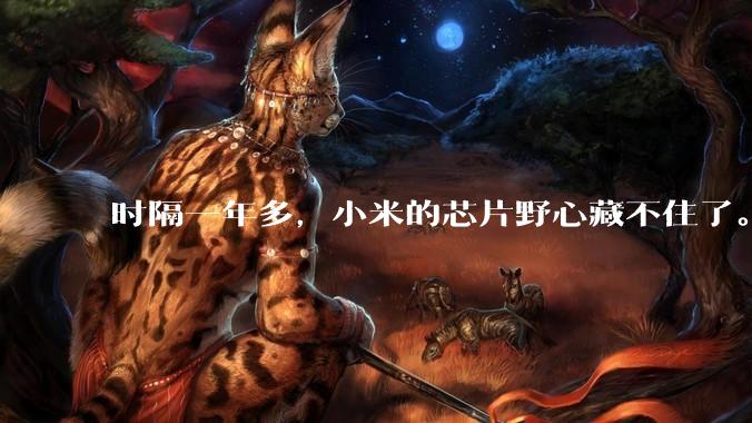 时隔一年多，小米的芯片野心藏不住了。。。_-Premium_托尼_-Ultra