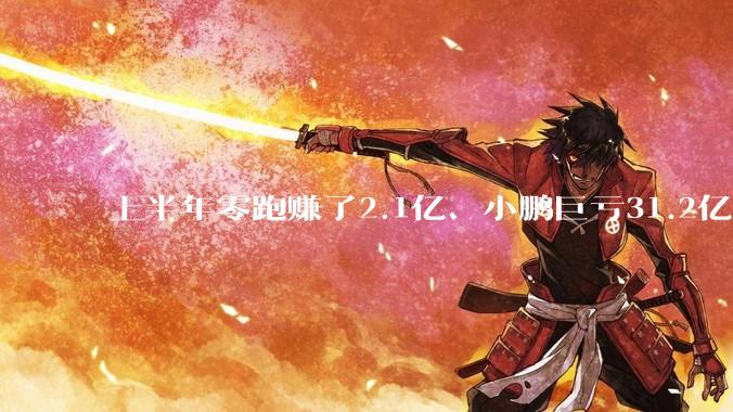上半年零跑赚了2.1亿、小鹏巨亏31.2亿！真正的差距不在卖车_盈利_收入结构_毛利率
