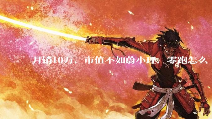 月销10万、市值不如蔚小理，零跑怎么了？_销量_公司_盈利