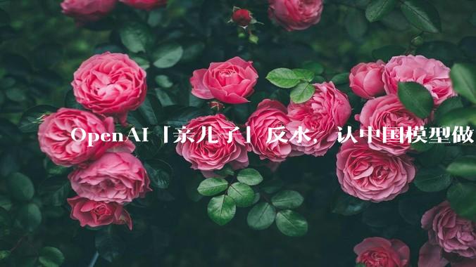 OpenAI「亲儿子」反水，认中国模型做「赛博义父」_Kimi_法律界_Cursor