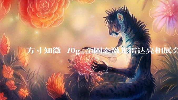 方寸知微 70g 全固态激光雷达亮相展会 构建空中具身智能作业闭环 - *