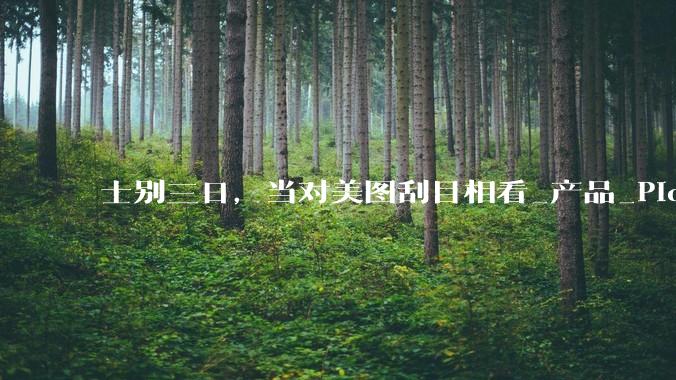 士别三日，当对美图刮目相看_产品_Picchi_应用