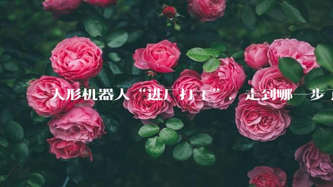 人形机器人“进厂打工”，走到哪一步了？_康明斯_福田_黄运保
