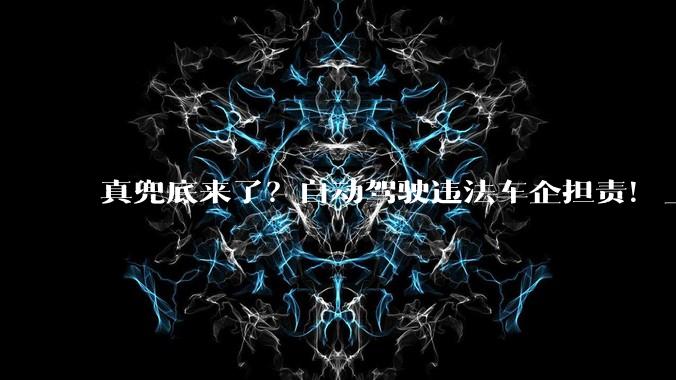 真兜底来了？自动驾驶违法车企担责！_责任_功能_辅助
