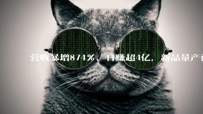 营收暴增874%、日赚超4亿，新品量产获雷军点赞，长鑫科技迎来“最好的秋天”_上市_市场_存储