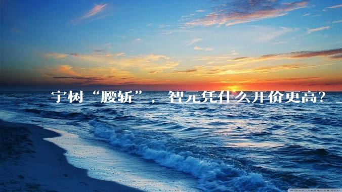 宇树“腰斩”，智元凭什么开价更高？_机器人_行业_一级市场