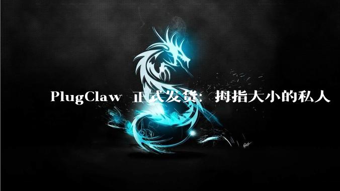 PlugClaw 正式发货：拇指大小的私人 AI 电脑，让 AI 真正替你干活 - *