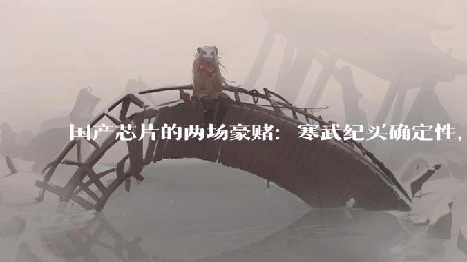 国产芯片的两场豪赌：寒武纪买确定性，摩尔线程买时间_市场占有率_盈利_学术