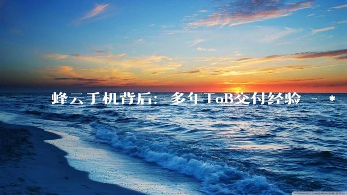 蜂云手机背后：多年ToB交付经验 - *