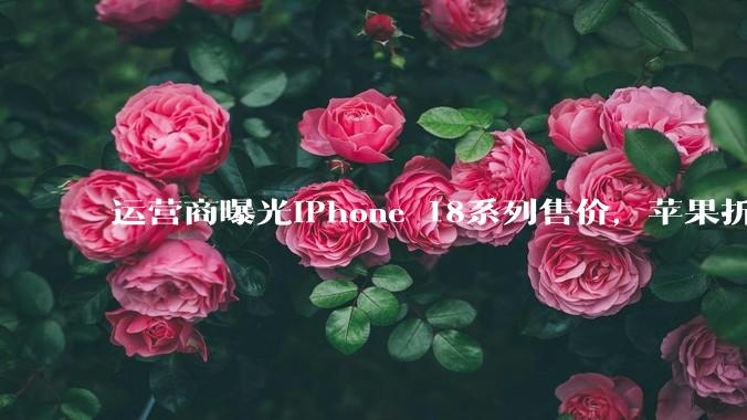 运营商曝光iPhone 18系列售价，苹果折叠屏售价1.5万元起_约合_Pro_人民币