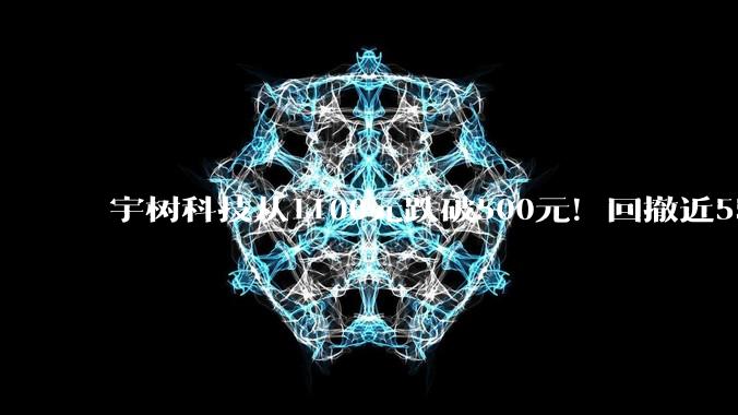 宇树科技从1100元跌破500元！回撤近55%，市值蒸发超2400亿元！_机器人_人形_增速