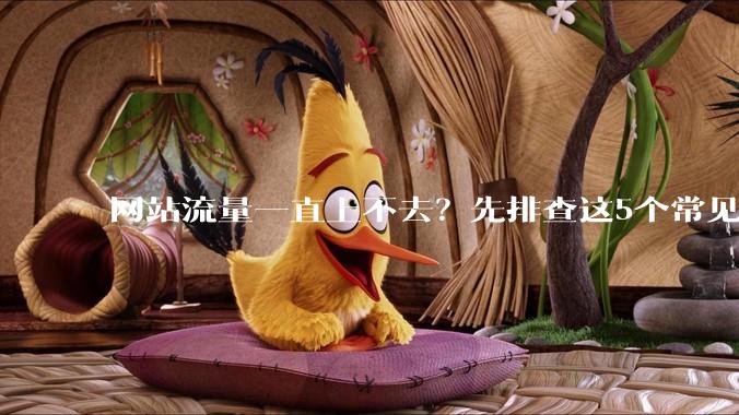 网站流量一直上不去？先排查这5个常见卡点再谈推广 - *