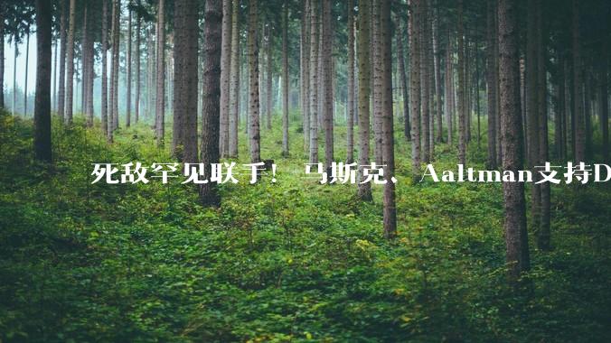 死敌罕见联手！马斯克、Aaltman支持Dario Amodei“全球放缓AI”呼吁_OpenAI_***_评估