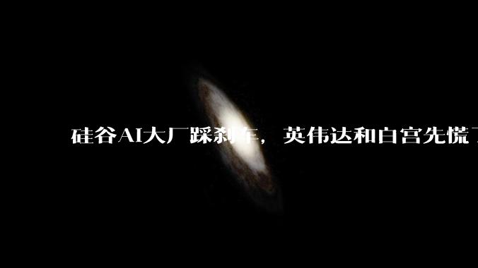 硅谷AI大厂踩刹车，英伟达和白宫先慌了_达里奥_行业_需求