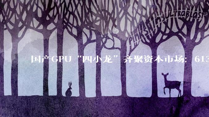 国产GPU“四小龙”齐聚资本市场：6132亿市值之后，真正的考验才刚开始_口径_资产负债率_毛利率
