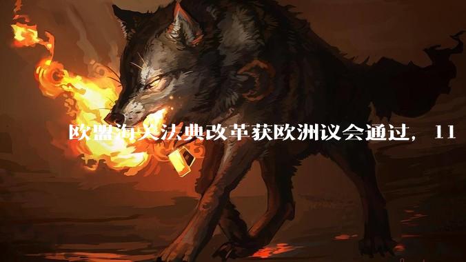 欧盟海关法典改革获欧洲议会通过，11 月起小包裹加征统一处理费 - *