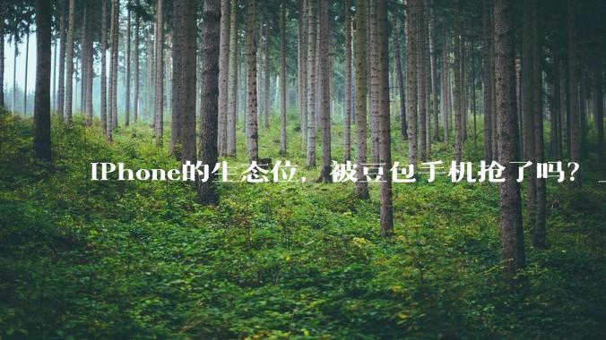 iPhone的生态位，被豆包手机抢了吗？_Agent_用户_努比亚