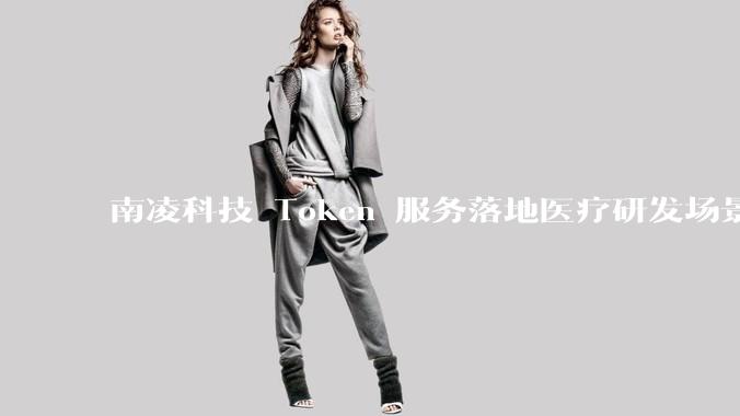 南凌科技 Token 服务落地医疗研发场景 - *
