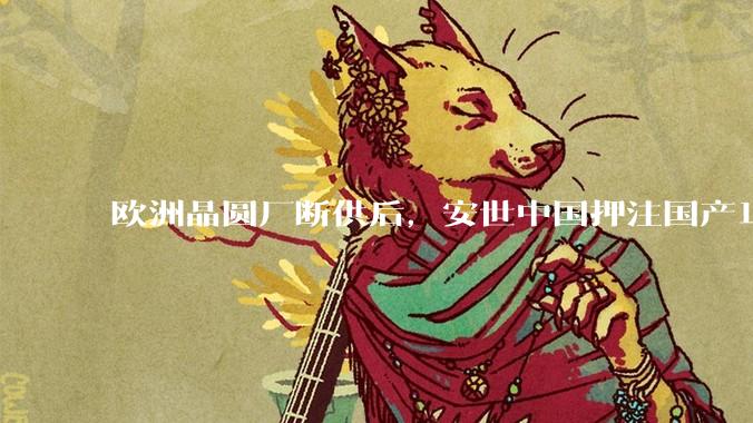 欧洲晶圆厂断供后，安世中国押注国产12英寸产品，成本优势成第一张牌？_器件_功率_平台