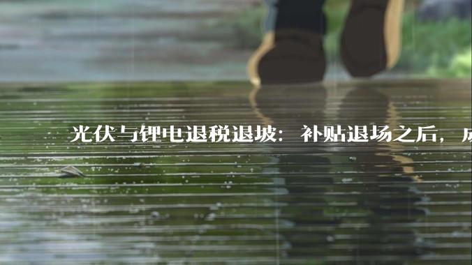 光伏与锂电退税退坡：补贴退场之后，成交价跌破了成本线_产能_组件_政策