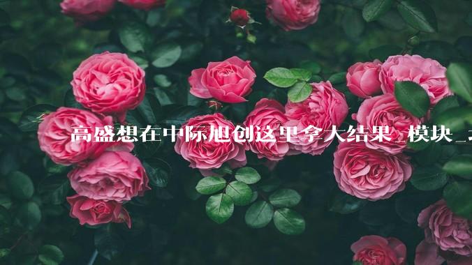 高盛想在中际旭创这里拿大结果_模块_北美_技术