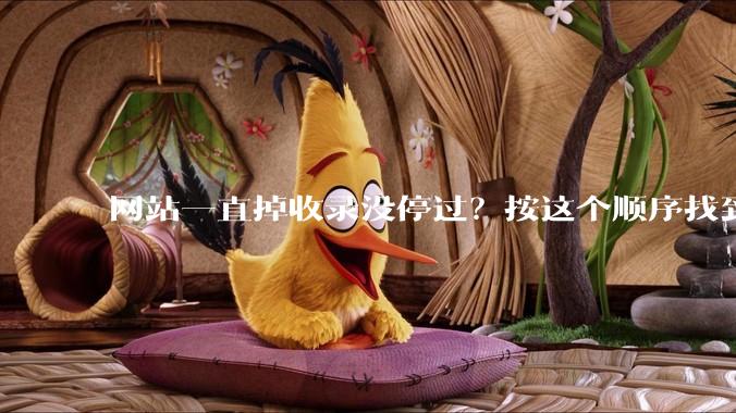网站一直掉收录没停过？按这个顺序找到源头 - *