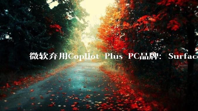 微软弃用Copilot Plus PC品牌：Surface新品不再这么叫 - *
